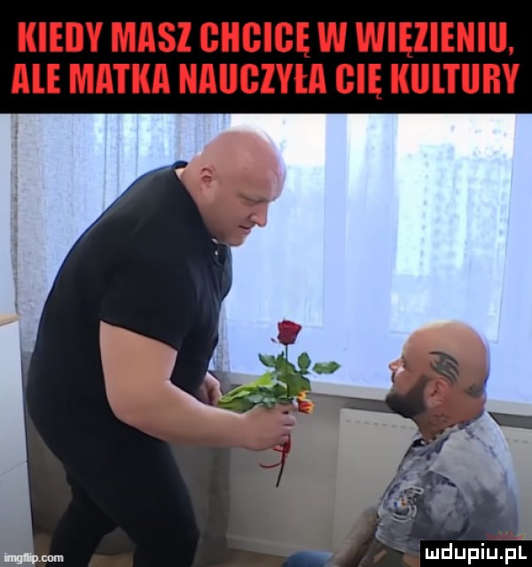 magm