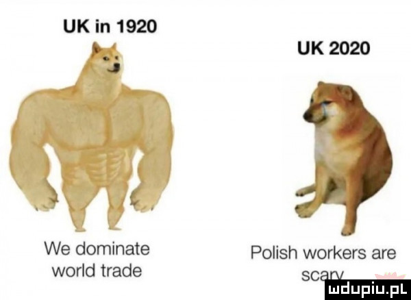 we dominate wored trale uk      polish workers are scam