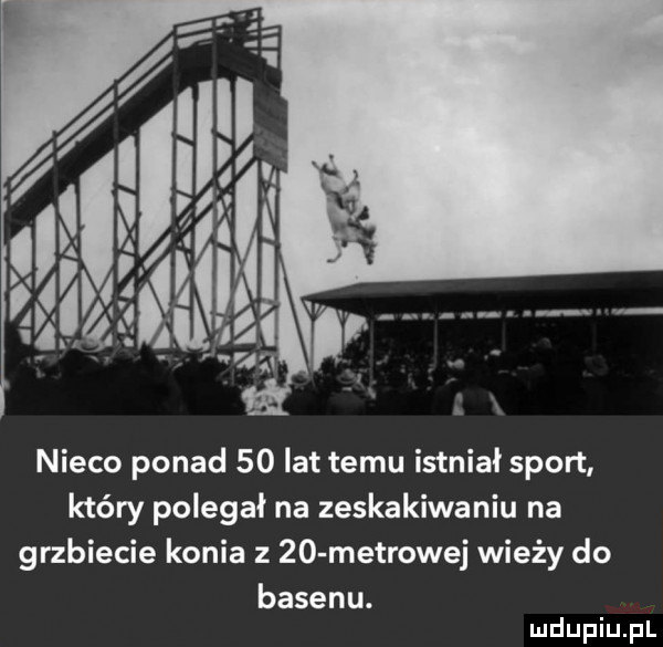 nieco ponad    lat temu istniał sport który polegał na zeskakiwaniu na grzbiecie konia    metrowej wieży do basenu