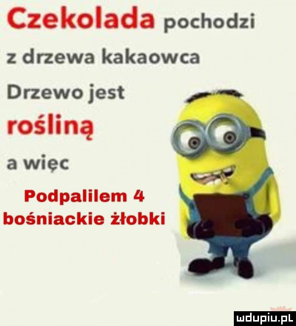 czekolada pochodzi z drzewa kakaowca drzewo jest rośliną a wiec podpalilem   bośniackie żłobki ludu iu. l