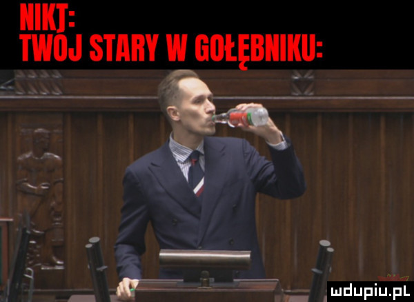 haki twoj stary w gołębiiikij ąą a w a t   l ludupiuﬁl