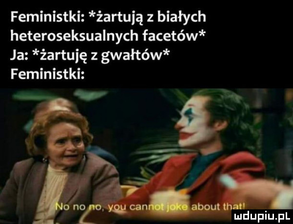 feministki żartują z białych heteroseksualnych facetów ja żartuję z gwałtów feministki ludufiqul