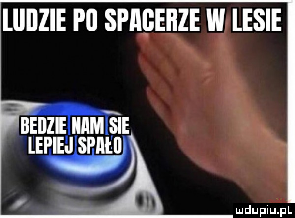 lllilzie p  spagebze w lesie bellziel imam sie