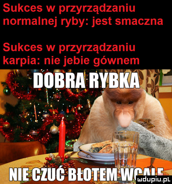 iiiiiiiia kubka x