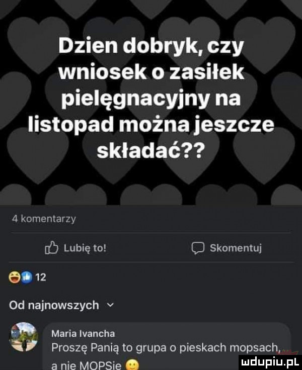 dzien dobryk czy wniosek o zasiłek pielęgnacyjny na listopad można jeszcze składać a komentarzy db lubię to  .    skomentuj  d najnowszych v maria ivancha i proszę panią to grupa   pieskach mopsach a nie mopsie