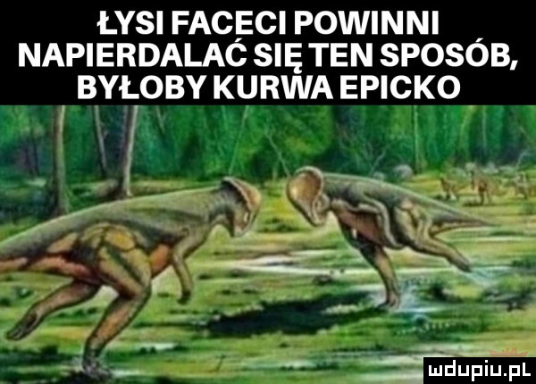 łysi faceci powinni. napierdalac się ten sposob był oby kurwa epicko. w x f f x x l są v w. abakankami. mduplu pl