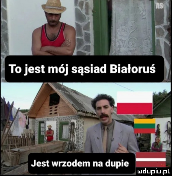 jest wrzodem na dupie