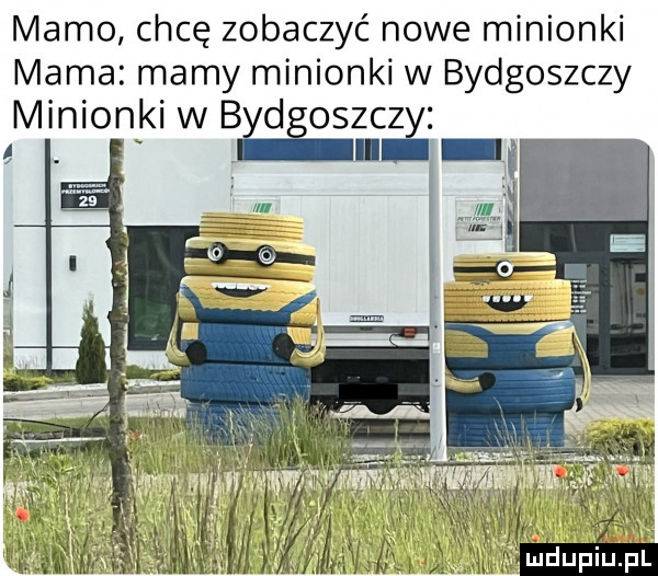 mamo chcę zobaczyć nowe minionki mama mamy minionki w bydgoszczy minionki w bad oszczy. ll