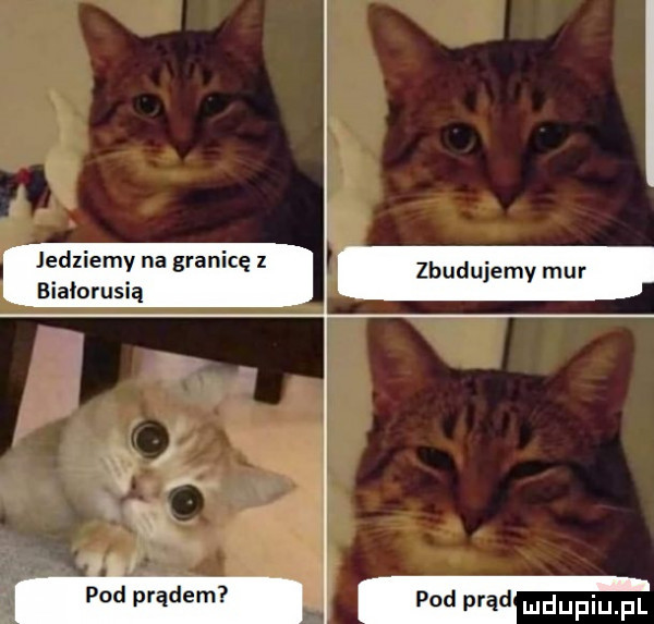 jedziemy na granicę z zbudujemy mur białorusią v pod prądem