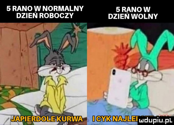 rano w normalny   rano w dzien roboczy dzien wolny