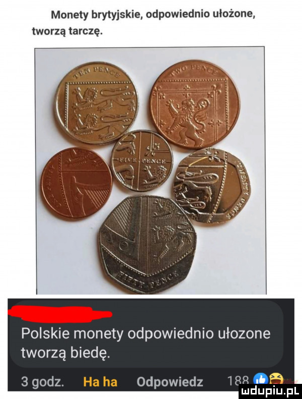monety brytyjskie odpowiednio ułożone tworzą tarczę. polskie monety odpowiednio ułożone tworzą biedę.   godz ha ha odpowiedz mrr   a mduplu pl