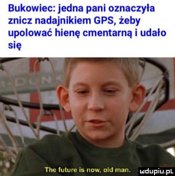 bukowiec jedna pani oznaczyła znicz nadajnikiem gps żeby upolować hienę cmentarną i udalo się q tau iuturu in now ued mun