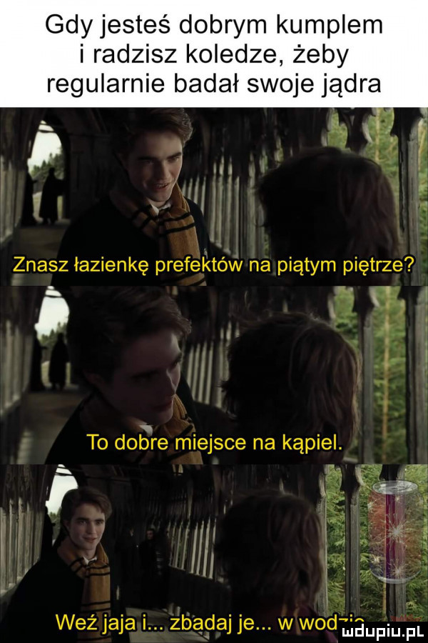 gdy jesteś dobrym kumplem i radzisz koledze żeby regularnie badał swoje jądra znasz łazienkę prefektów na piątym piętrze ę   i. p. j   i to dobre miejsce na kąpiel. waż jaja i. zbadaj je. w wo eaupiupl