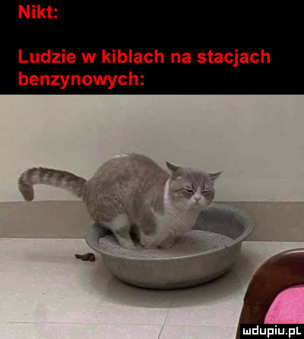 nikt ludzie w kiblach na stacjach benzynowych