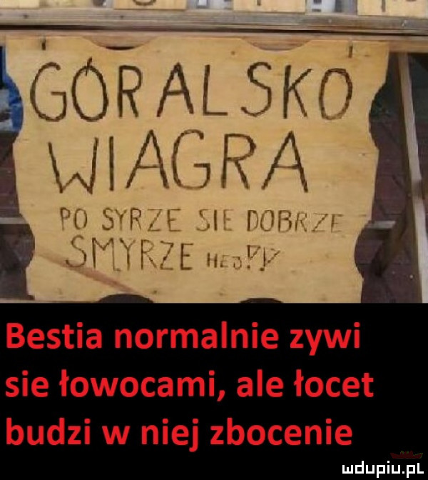 bestia normalnie zywi sie łowocami ale łocet budzi w niej złocenie