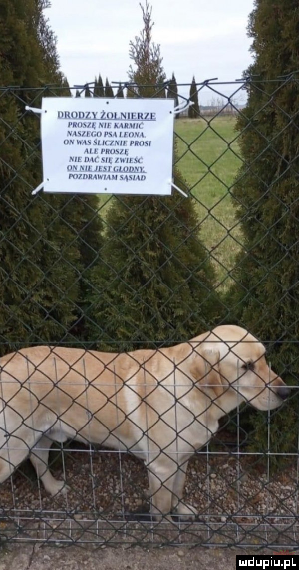 i lulll x ici ii ici max w mmm unllnur uunu m u u u w mam my mam u w w. u m y. uummmw