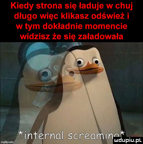 z duciu phy li