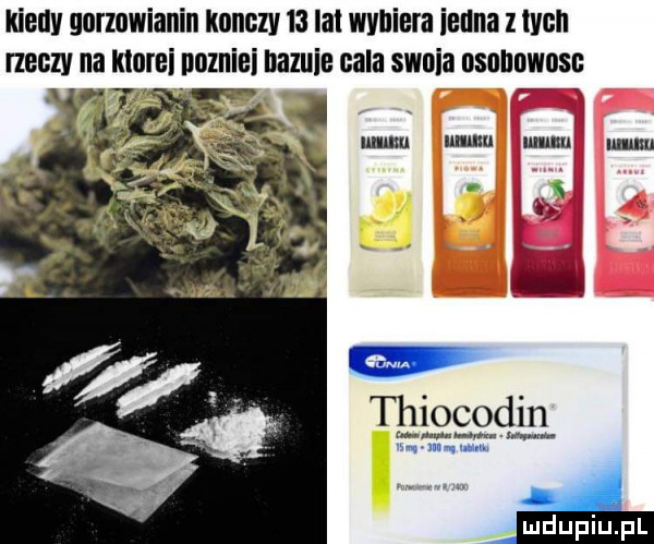 kanny gorzowianin konczy    lai wybiera ikona z ikon neony na mami ooznioi nemie cala swoja osonowoso x thiocodin r. abakankami w w na vvvvvv