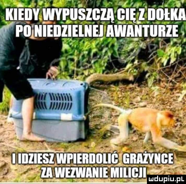 iiieiiy wypiisigza fce iii piiiiiieiilieliiei awiiii iiiiiie. wuwuwmimucnw ludupiu. pl