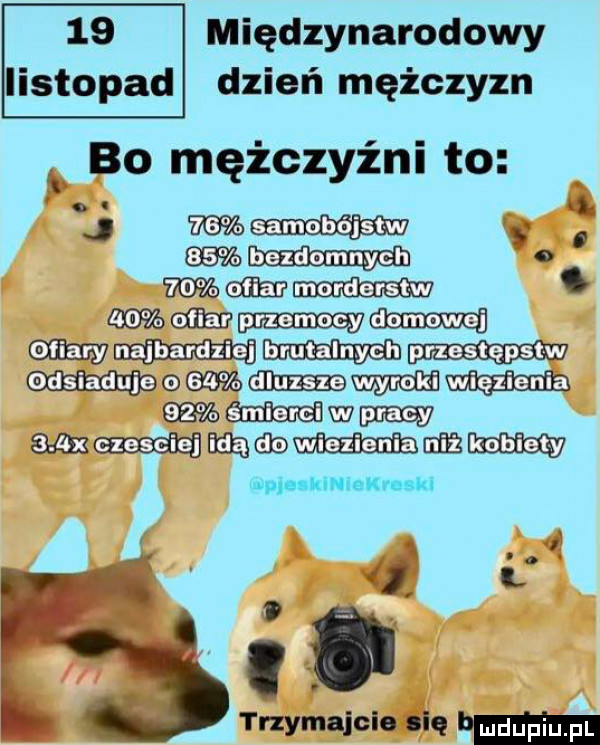 międzynarodowy listopad dzień mężczyzn    męzczyzm to. v   o memu leu. marazm anestepstw emmmwiezienia wam wmmmm wybitni kioski i m hm