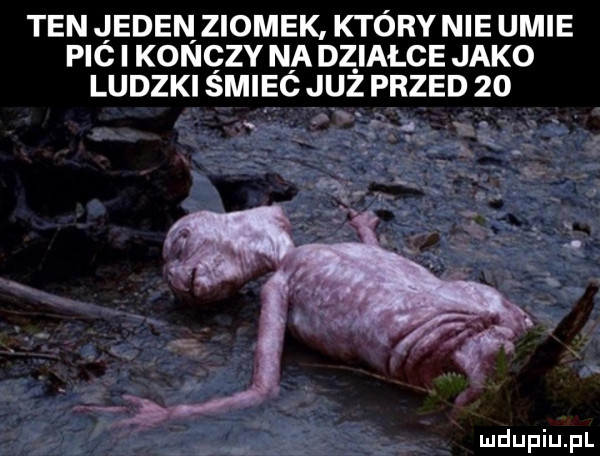 ten jeden ziomek który nie umie pic i konczy na działce jako ludzki śmieó już przed    r