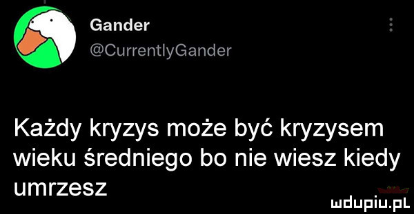 gender currenﬂygander każdy kryzys może być kryzysem wieku średniego bo nie wiesz kiedy umrzesz. mduplu pl