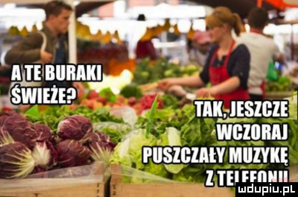 fl rmanama   rtsw m. m liszczf r. abakankami wcznnnl ruszcmw mam i. ham ludupiu. pl