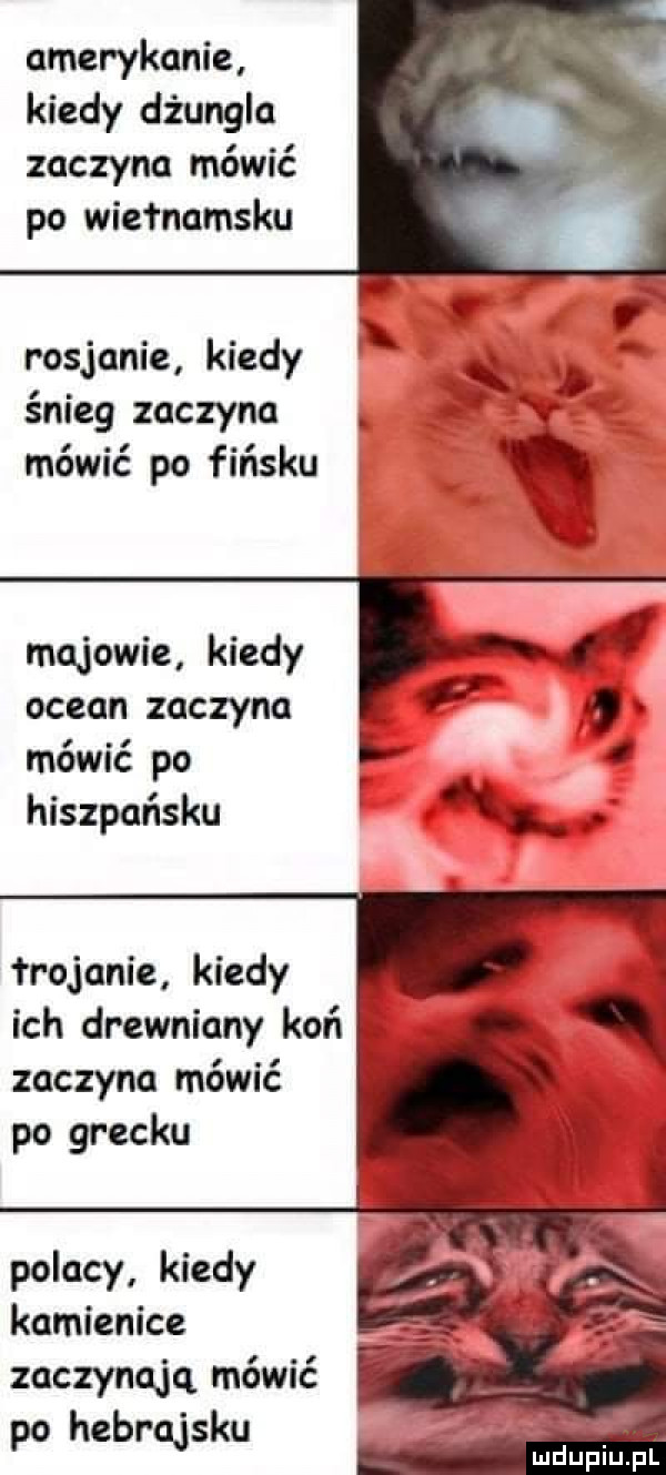 amerykanie kiedy dżungla zaczyna mówić po wietnamsku rosjanie kiedy śnieg zaczyna. mówić po fińsku majowie kiedy ocean zaczyna mówić po hiszpańsku i. abakankami trojanie kiedy ich drewniany koń zaczyna mówić po grecku polacy kiedy kamienice zaczynaja mówić po hebrajsku w