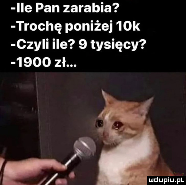 lee pan zarabia trochę poniżej   k czyli ile   tysięcy       zł