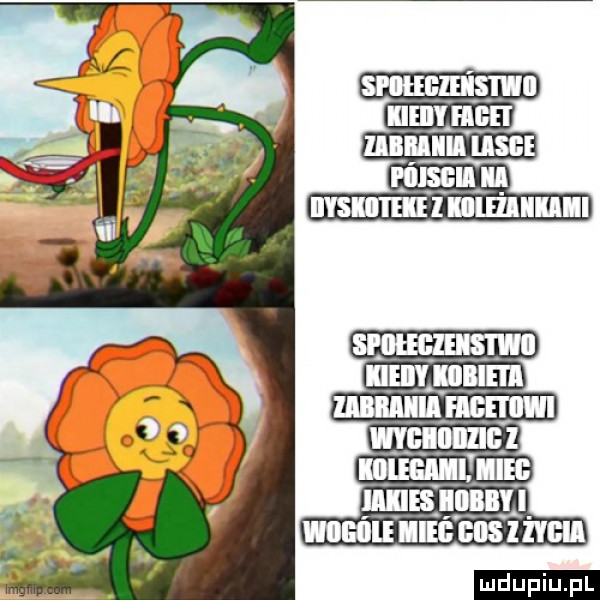 upiu pl