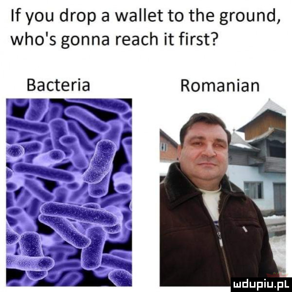 if y-u drop a wallot to tee ground who s gonna reach it fiest bakteria romanian   . p f