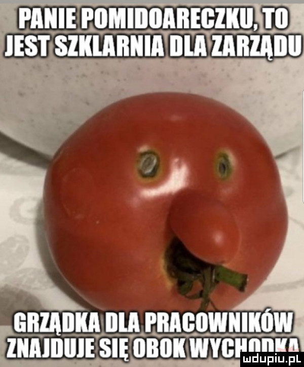 paniełiimijiiiabegzliihd est szmnmn nznnznnu znaiiiiiie się obok wabi m iłu m lduwu f