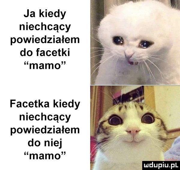 ja kiedy niechcący powiedziałem do facetki mamo facetka kiedy niechcący powiedziałem do niej mamo