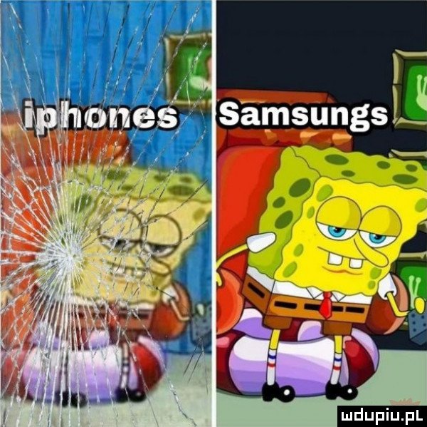 upiu pl