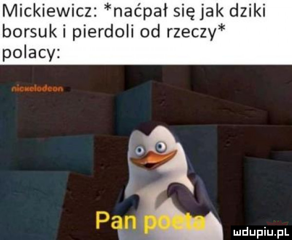 mickiewicz naćpał się jak dziki borsuk i pierdoli od rzeczy. abakankami r m wdupiu pl