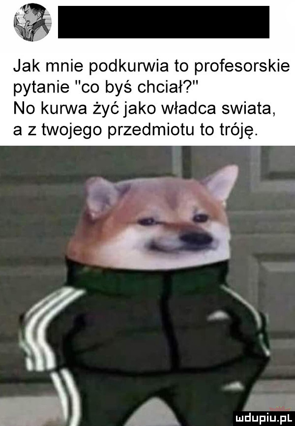 jak mnie podkurwia to profesorskie pytanie co byś chciał no kurwa żyćjako władca swiata a z twojego przedmiotu to tróję. d ał dupci pi