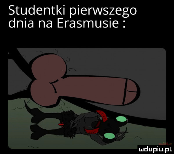 studentki pierwszego dnia na erasmusie