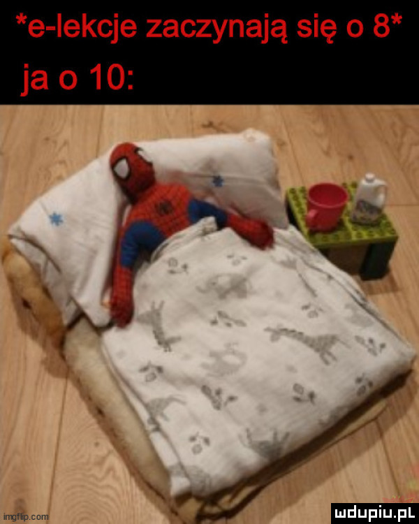 e iekcje zaczynają się o   ja o    ludu iu. l