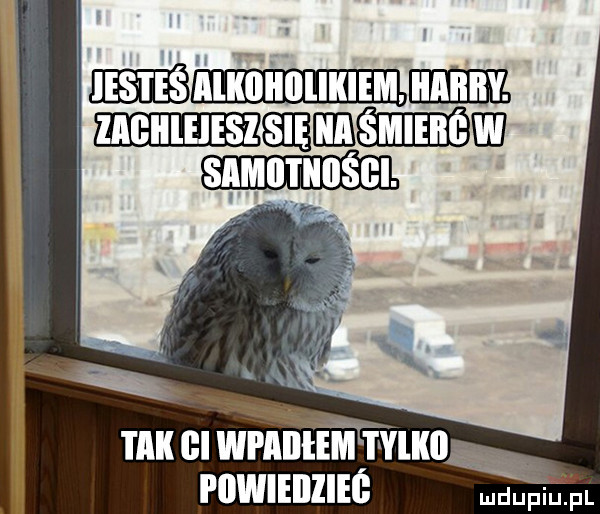 mu elwmntim ramo i ilwieillief
