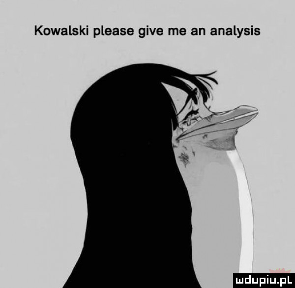 kowalski please gide me an analysis ludu iu. l