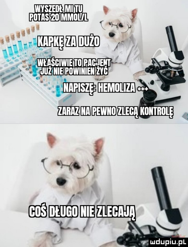 putiis    mkol il i xmmgmunm.   i aaśawamzw h. lﬂmmg han jigi mmmm cen nnmnlę   qh. abakankami hebe hme v l r zlegają c n x duciu. pl