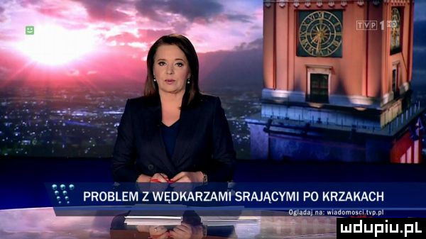 problem z wędkarzami srającymi p  krzakach mar e q ludupqul