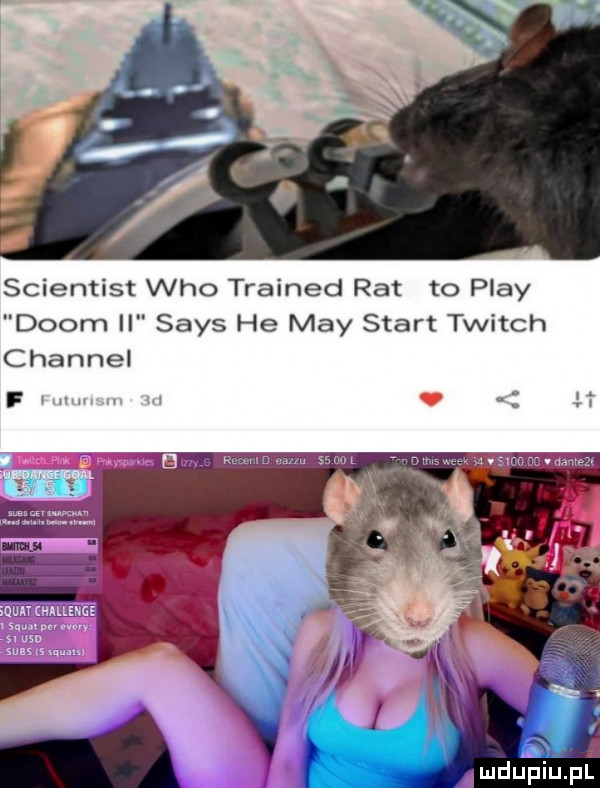 scientist who trained rat to play dcom ll saks he may start twitch channel f vv i mru piupl