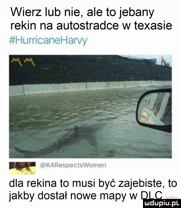 wierz lub nie ale to jebany rekin na autostradce w texasie humcaneharvy karcspectswomen dla rekina to musi być zajebiste to jakby dostał nowe mapy w