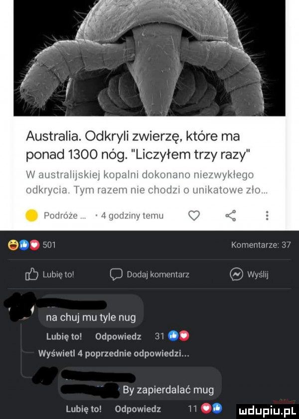 australia. odkryli zwierzę. które ma ponad      nóg iczylem trzy razy w mr wkuwhuriwkuwmwvw. ham w moim wm vvwwv va vum kram uac   f www na chuj metyle nag lubię ml odpnwledz  x wyświetl   poprzednie odpcwledzi. by zapierdalać mag lubięlo odpowiedz no
