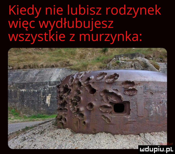 kiedy nie lubisz rodzynek więc dłutujesz acie z murzynka wszy