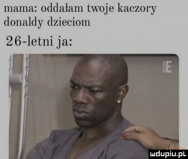 mama oddałam twoje kaczory donaldy dzieciom    letni ja mdupiupl