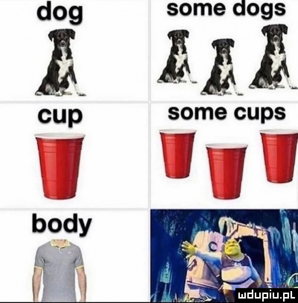 dog chi   body fx wr h some dogs some cmps u x j u
