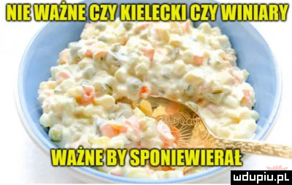 ewnżn gzy kielecki czy wiłaby ludu iu. l
