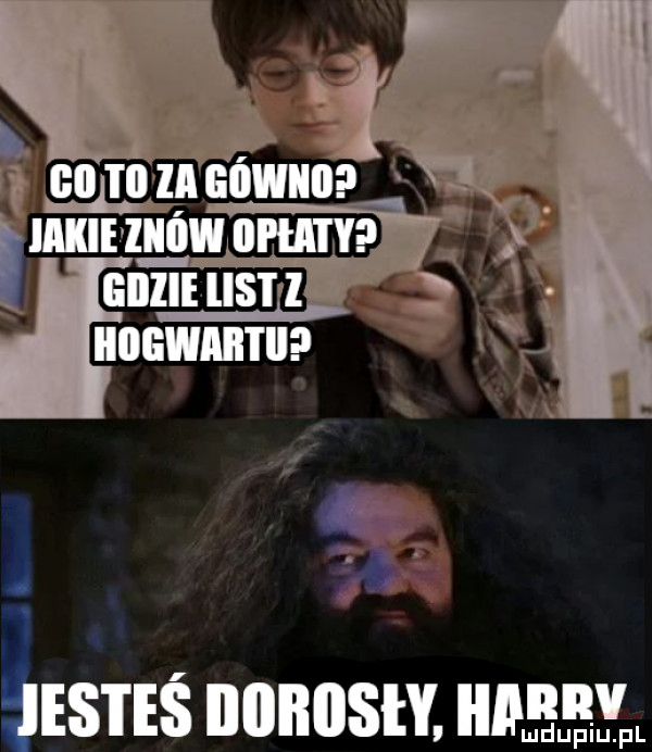 a. wen rozmowna imamów  mm fanga ihs i eś iiiiiiiisly. heel